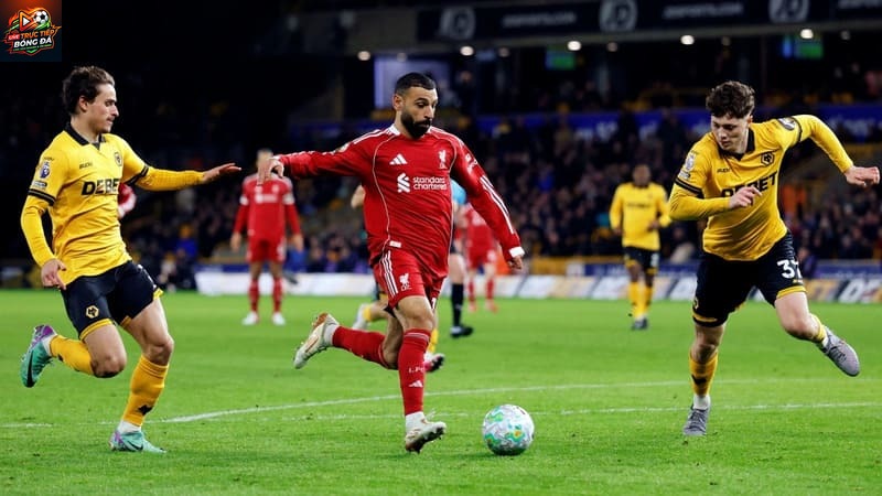 Màn so tài giữa Wolves và Liverpool tại thánh địa Molineux